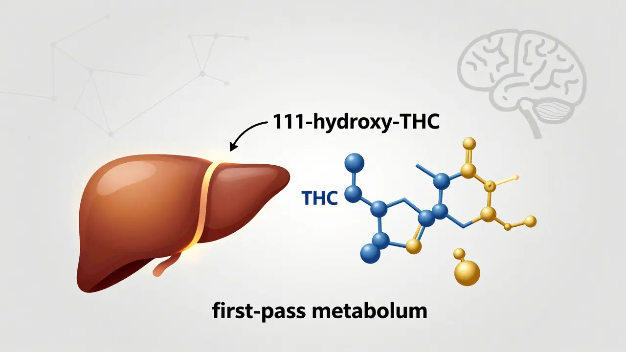 Ilustrace přeměny THC v játrech na silnější metabolit